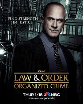法律与秩序：组织犯罪第四季第01集